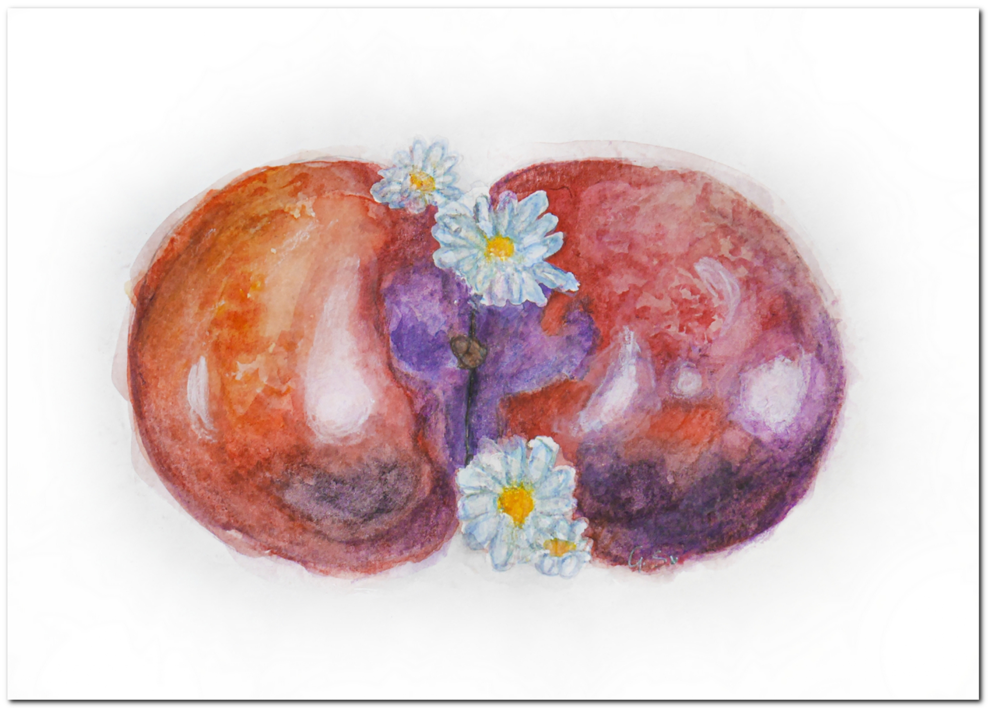 Prima-parte_page-0023