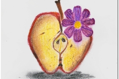 Prima-parte_page-0006