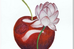 Prima-parte_page-0008