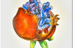 Prima-parte_page-0012